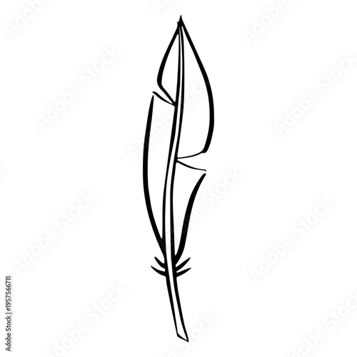 Feather drawn boho