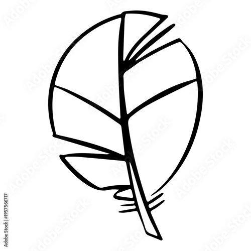 Oblong feather drawn