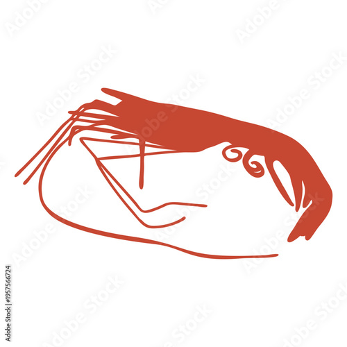 Cool shrimp vector