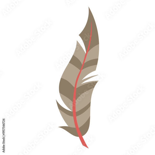 Simple brown feather