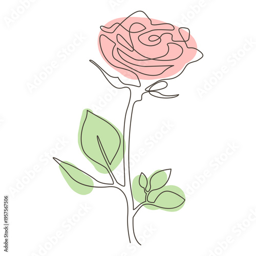 Colorful rose line drawing