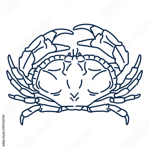 Crab stroke sea life