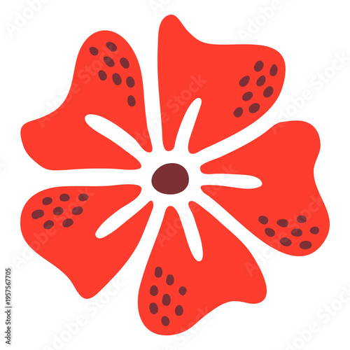 Morning glory flower hand drawn