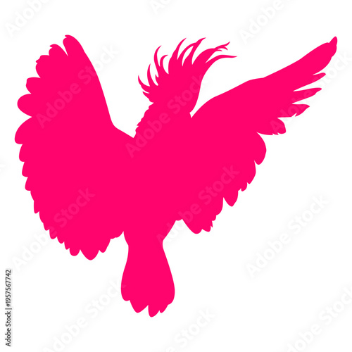 Open wings cockatoo bird silhouette