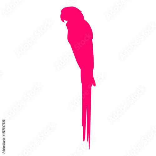Tropical sitting bird silhouette