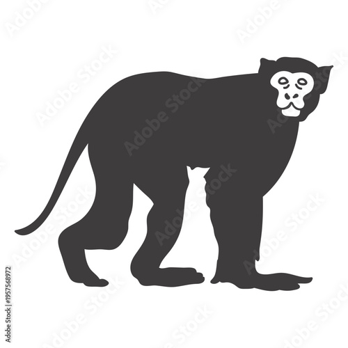 Steady monkey waiting animal