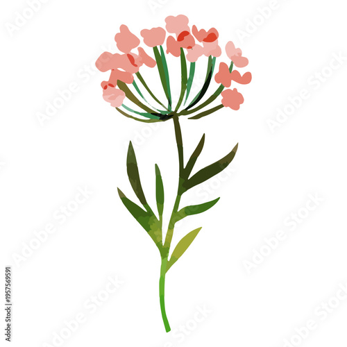 Watercolor red flowers