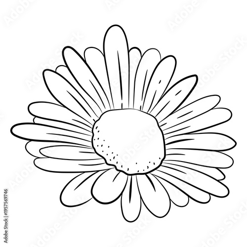 Stroke daisy flower