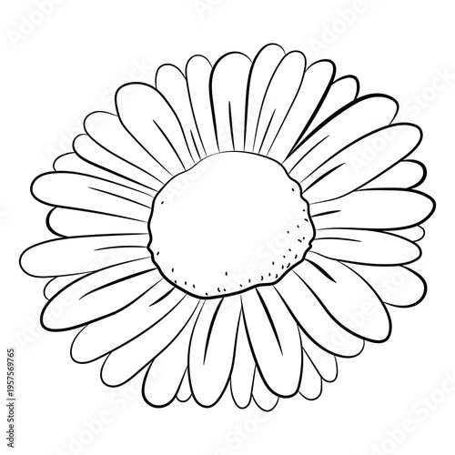 Front-view daisy flower stroke