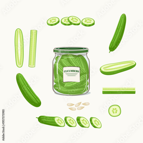 An illustration of cucumbers and a jar of pickled cucumbers Stock  Vector
