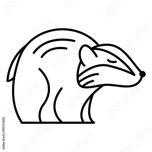 Stroke raccoon sideways