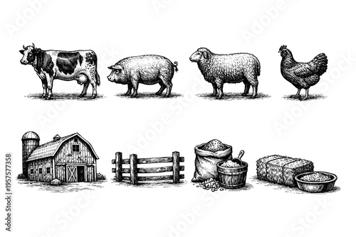 Vintage farm animals and barn illustration with hay and feed elements