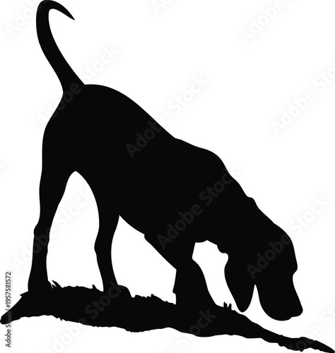 Black and white beagle sniffing ground silhouette vector