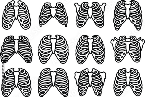 Variations of human ribcage anatomy illustrations