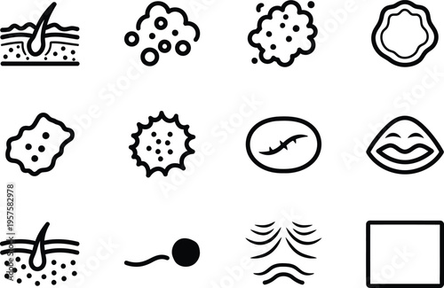 Skin lesion and rash medical illustrations