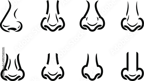 Variations of nose shapes and sizes