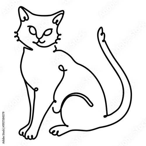 Photography Cat nature animal