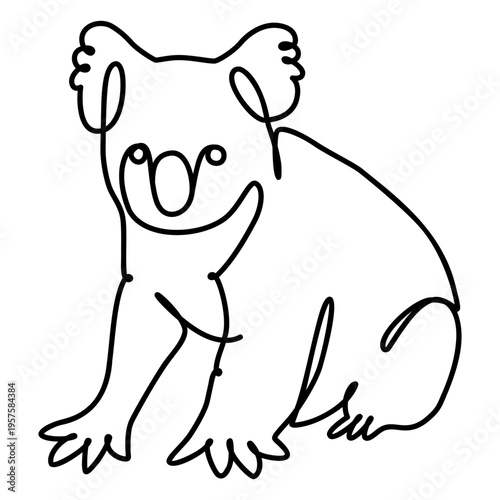 Photography Koala nature animal