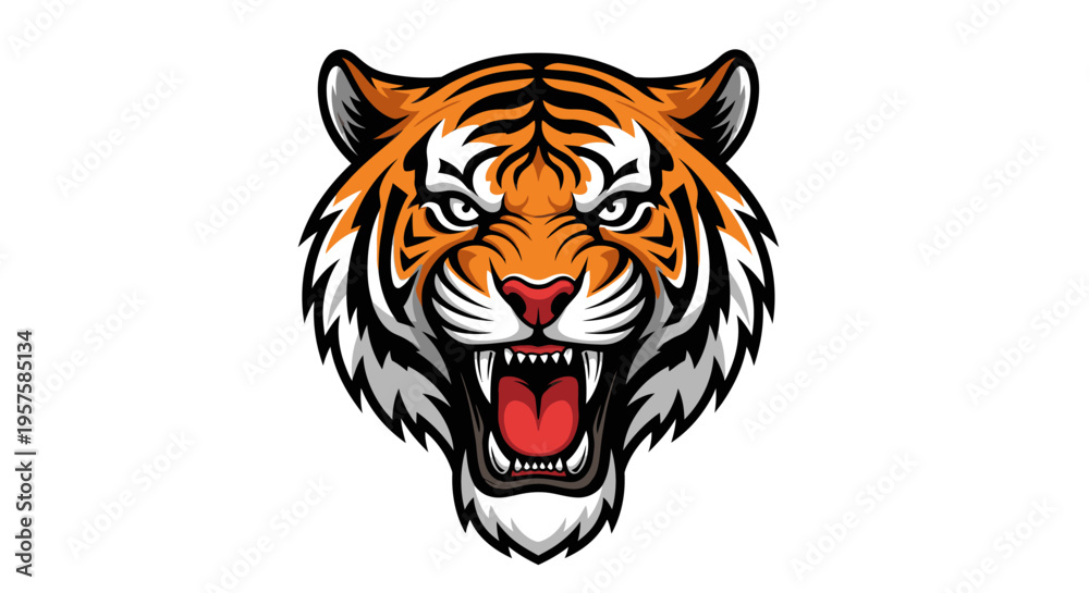 Fototapeta premium Tiger head illustration roaring with visible fangs isolated on white background