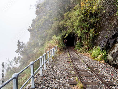 Mianyue Line in Alishan National Forest Recreation Area, Taiwan