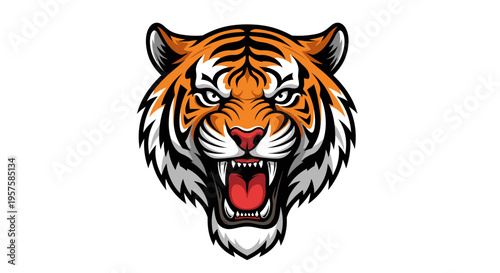 Tiger head illustration roaring with visible fangs isolated on white background