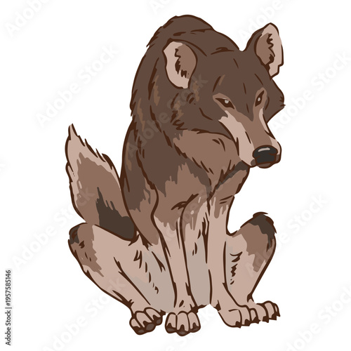Sitting wolf animal