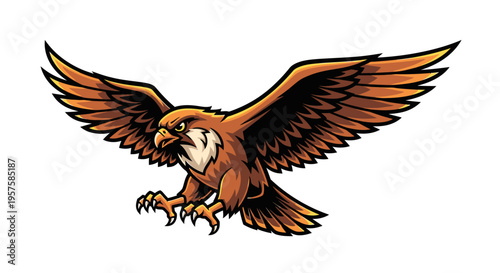 Soaring hawk illustration orange and brown bird with wings extended