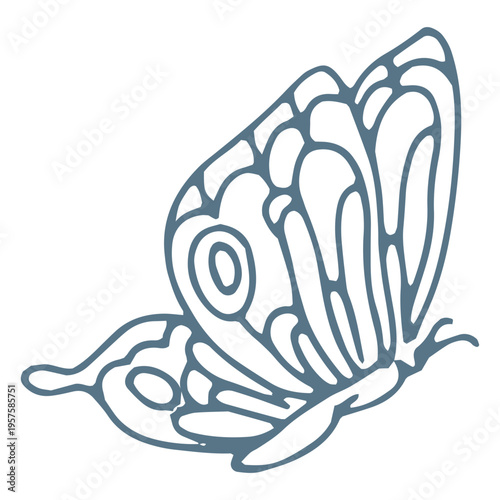 Spring butterfly stroke icon