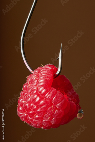 Tortured Food Still Life Series: Red Raspberry Suspended on Steel Fishing Hook on Brown Background Juicy Liquid Dripping 
