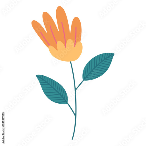 Flower flat yellow beautiful