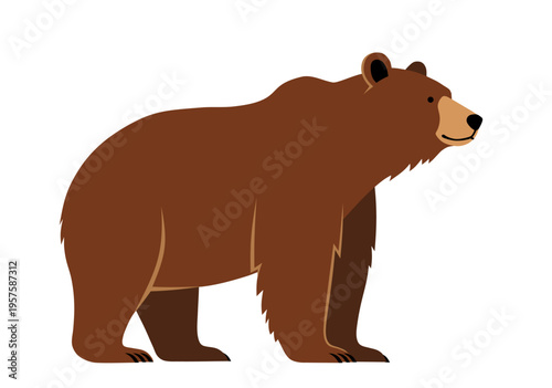 beaBrown Bear
