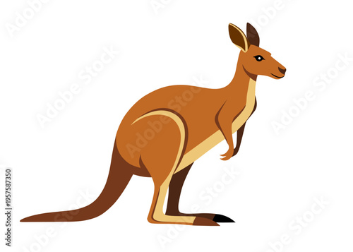 Kangaroo
