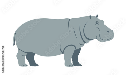 Hippopotamus
