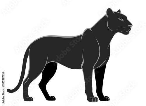 Abstract vector illustration of black panther
