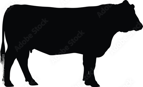 WebCow silhouette isolated on white background, farm animal bull side view, beef cattle livestock vector illustration for agriculture design projects