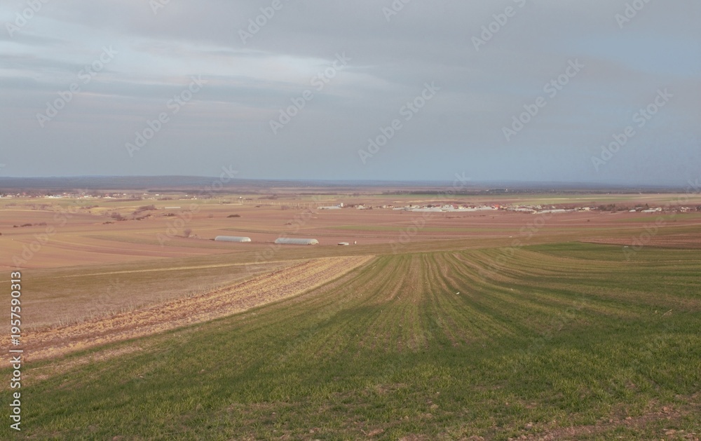 Fototapeta premium A large field with a few fields of crops and a cloudy sky
