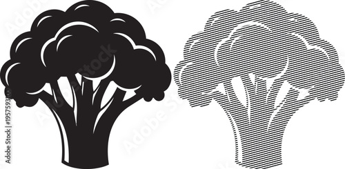 Comparison of solid and cross-hatched illustrations of a broccoli floret