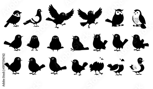 Bild auf Leinwand Engraved forest birds collection in toile style detailed ink pen illustration ro