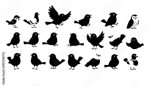 Cuadro en lienzo Minimal engraved bird set robin blackbird woodpecker goldcrest starling vintage