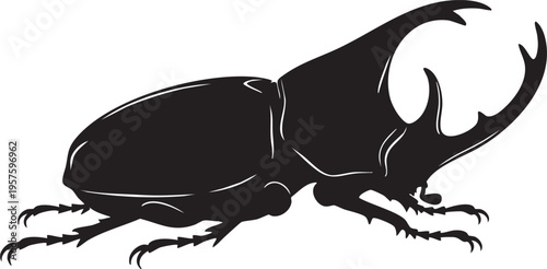 Stag beetle illustration