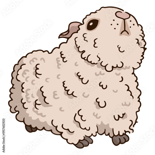 Guinea pig rodent animal