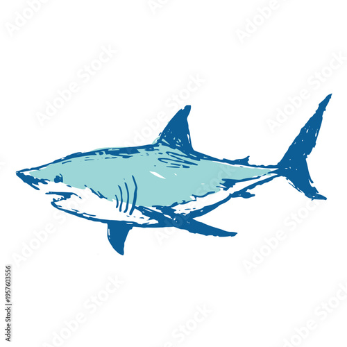 Illustration of blue shark
