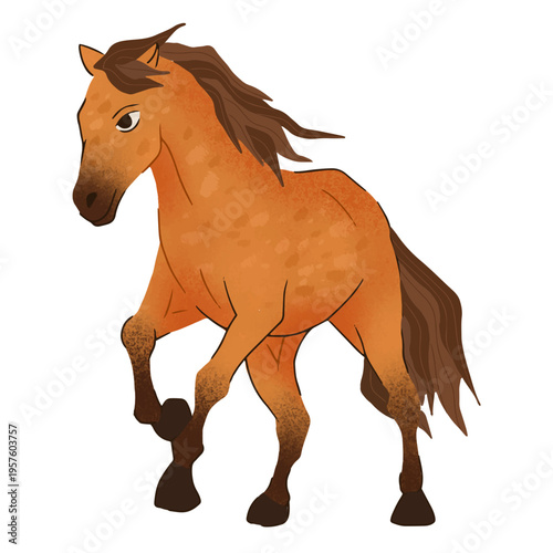 Galloping mestizo horse