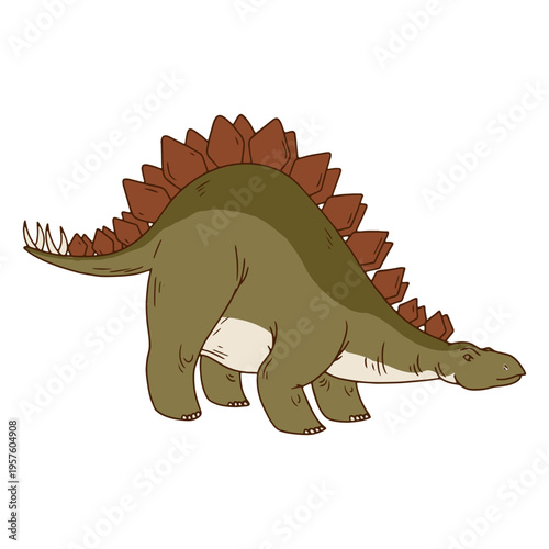 Stegosaurus illustration
