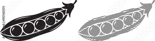 Illustration of a pod and seed development stages in a plant life cycle