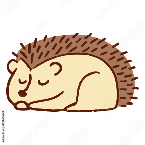 Cartoon hedgehog sleeping