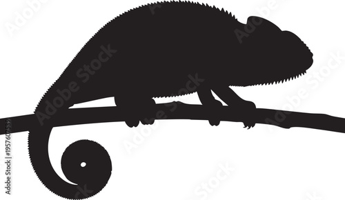 Silhouette of a chameleon perched on a branch