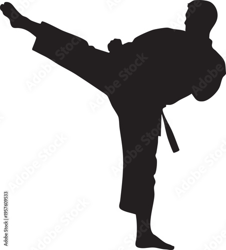 Martial arts silhouette of a person performing a high kick