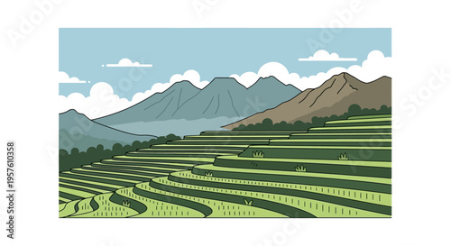 Green rice terraces with mountains landscape illustration