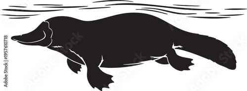 Black silhouette of a platypus swimming in water